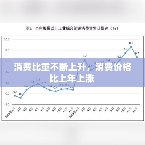消費比重不斷上升，消費價格比上年上漲 