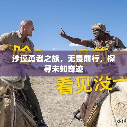 沙漠勇者之旅，無畏前行，探尋未知奇跡