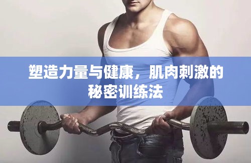 塑造力量與健康，肌肉刺激的秘密訓(xùn)練法