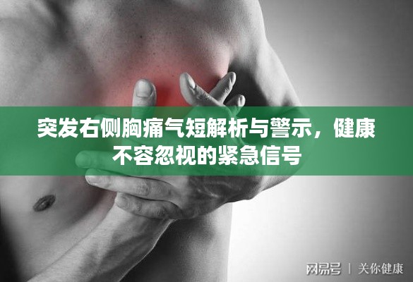 突發(fā)右側(cè)胸痛氣短解析與警示，健康不容忽視的緊急信號(hào)