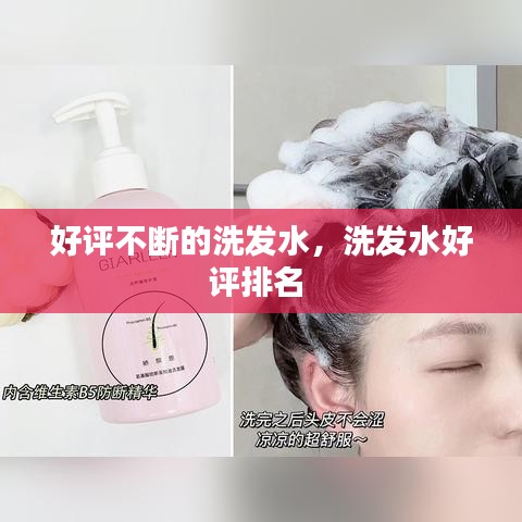好評不斷的洗發(fā)水，洗發(fā)水好評排名 