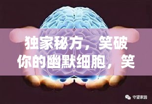 獨(dú)家秘方，笑破你的幽默細(xì)胞，笑料大解密！