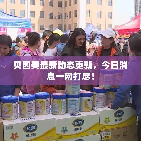 貝因美最新動態(tài)更新，今日消息一網(wǎng)打盡！
