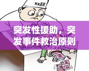 突發(fā)性援助，突發(fā)事件救治原則 