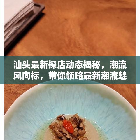 汕頭最新探店動態(tài)揭秘，潮流風(fēng)向標(biāo)，帶你領(lǐng)略最新潮流魅力