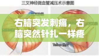 右腦突發(fā)刺痛，右腦突然針扎一樣疼 