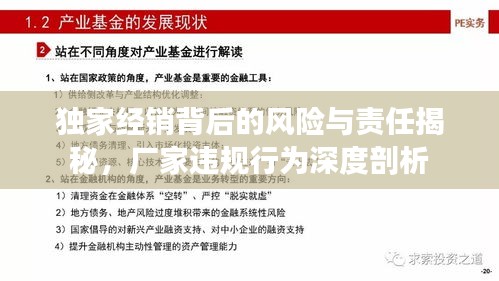 獨(dú)家經(jīng)銷背后的風(fēng)險(xiǎn)與責(zé)任揭秘，廠家違規(guī)行為深度剖析