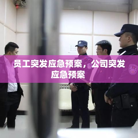 員工突發(fā)應(yīng)急預(yù)案，公司突發(fā)應(yīng)急預(yù)案 