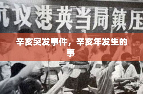 辛亥突發(fā)事件，辛亥年發(fā)生的事 