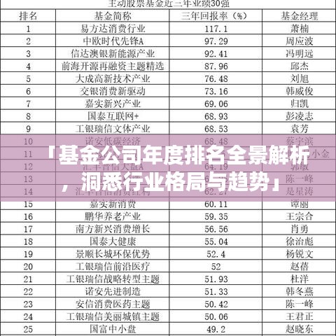 「基金公司年度排名全景解析，洞悉行業(yè)格局與趨勢(shì)」