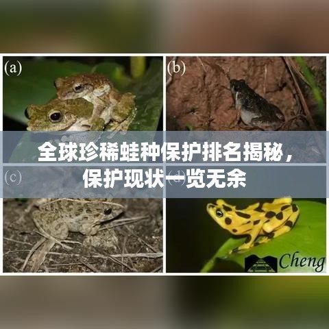 全球珍稀蛙種保護(hù)排名揭秘，保護(hù)現(xiàn)狀一覽無(wú)余