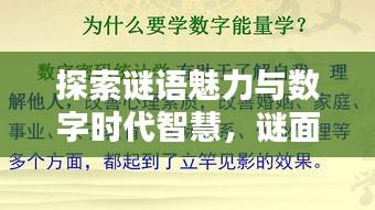 探索謎語魅力與數(shù)字時代智慧，謎面斷字與百度搜索的奇妙結合