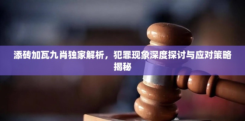 添磚加瓦九肖獨(dú)家解析，犯罪現(xiàn)象深度探討與應(yīng)對策略揭秘