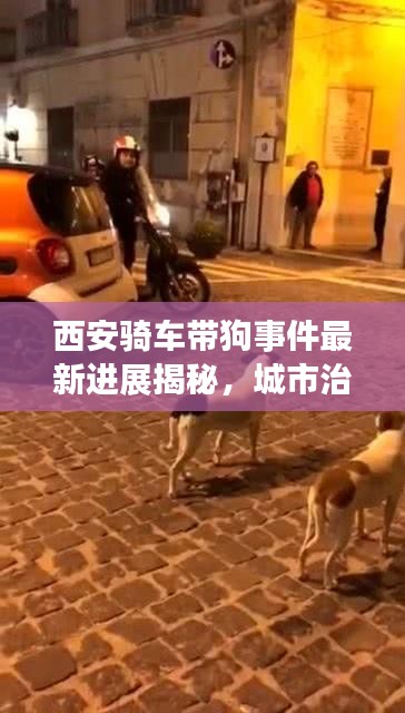 西安騎車帶狗事件最新進展揭秘，城市治理新動向引發(fā)關注