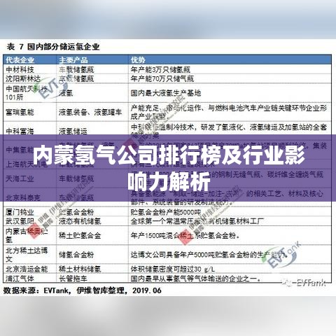 內(nèi)蒙氫氣公司排行榜及行業(yè)影響力解析