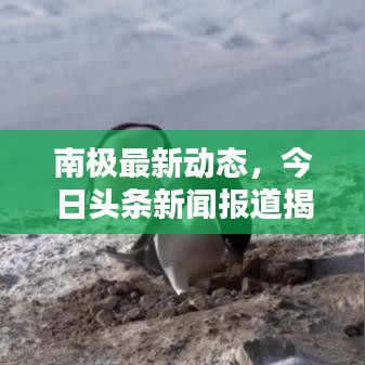 2025年1月17日 第10頁
