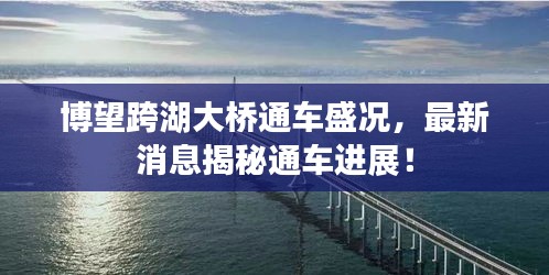 博望跨湖大橋通車盛況，最新消息揭秘通車進(jìn)展！