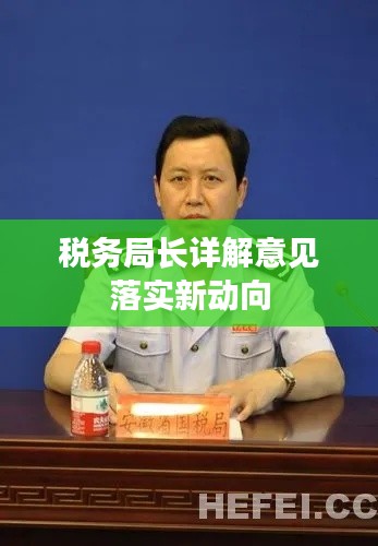 稅務(wù)局長詳解意見落實新動向