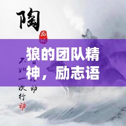 狼的團(tuán)隊(duì)精神，勵(lì)志語錄激發(fā)無限潛能