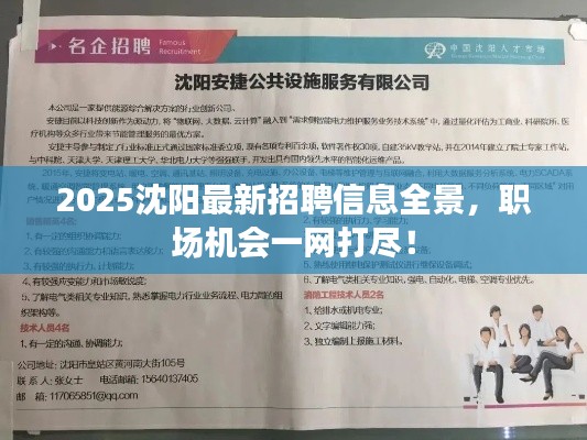 2025沈陽最新招聘信息全景，職場機(jī)會(huì)一網(wǎng)打盡！