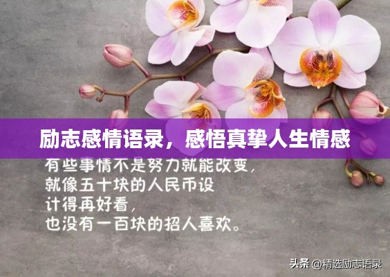 勵(lì)志感情語錄，感悟真摯人生情感