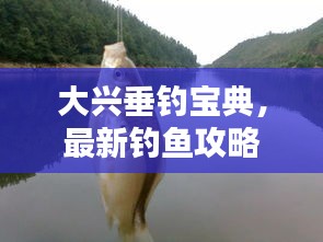 2025年1月17日