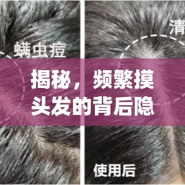 揭秘，頻繁摸頭發(fā)的背后隱藏的故事與心理解讀