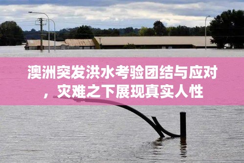 澳洲突發(fā)洪水考驗(yàn)團(tuán)結(jié)與應(yīng)對，災(zāi)難之下展現(xiàn)真實(shí)人性