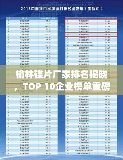 榆林碟片廠家排名揭曉，TOP 10企業(yè)榜單重磅出爐！