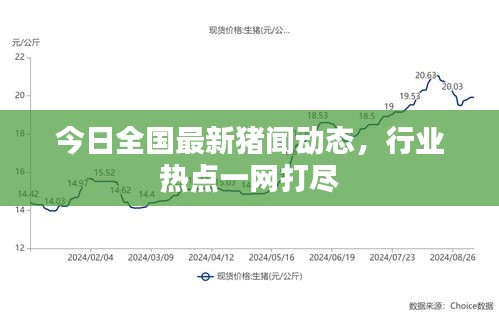 今日全國(guó)最新豬聞動(dòng)態(tài)，行業(yè)熱點(diǎn)一網(wǎng)打盡