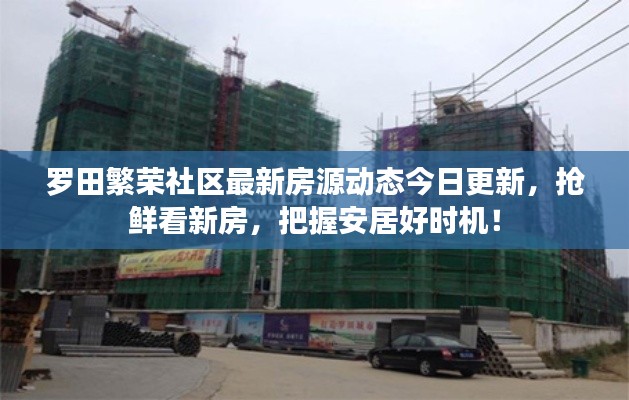 羅田繁榮社區(qū)最新房源動態(tài)今日更新，搶鮮看新房，把握安居好時機！