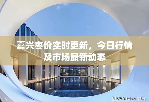嘉興棗價(jià)實(shí)時(shí)更新，今日行情及市場(chǎng)最新動(dòng)態(tài)