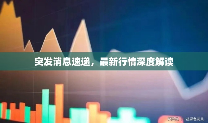 突發(fā)消息速遞，最新行情深度解讀