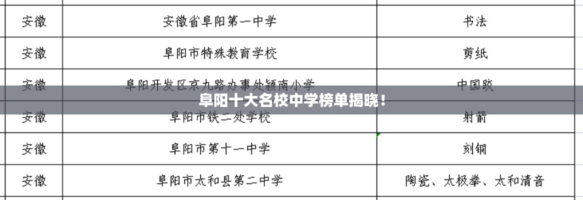 阜陽(yáng)十大名校中學(xué)榜單揭曉！