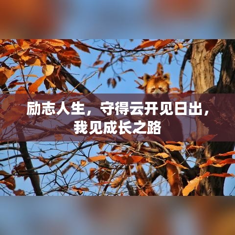 勵志人生，守得云開見日出，我見成長之路