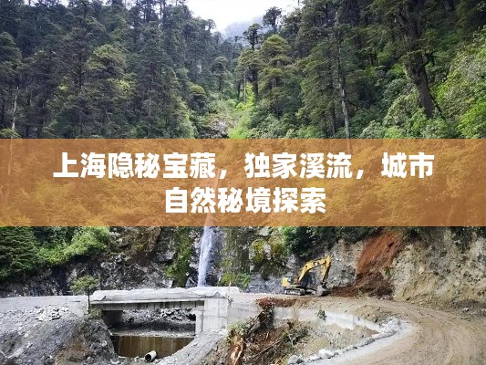 上海隱秘寶藏，獨家溪流，城市自然秘境探索