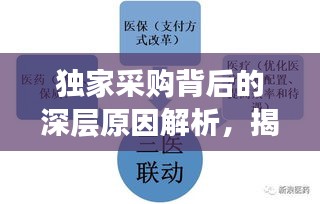 獨家采購背后的深層原因解析，揭秘設備采購背后的因素