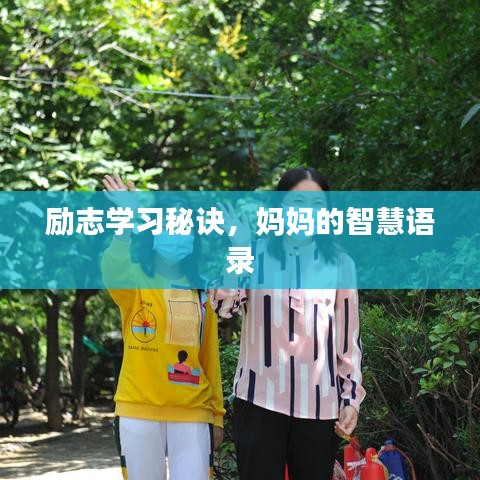 勵志學(xué)習(xí)秘訣，媽媽的智慧語錄