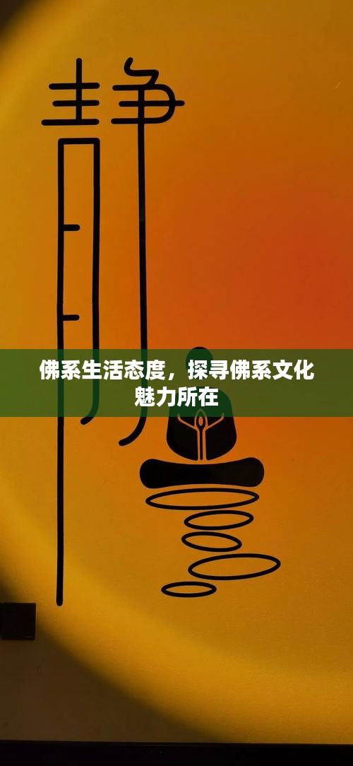 佛系生活態(tài)度，探尋佛系文化魅力所在