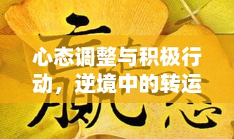 心態(tài)調(diào)整與積極行動，逆境中的轉(zhuǎn)運秘訣！