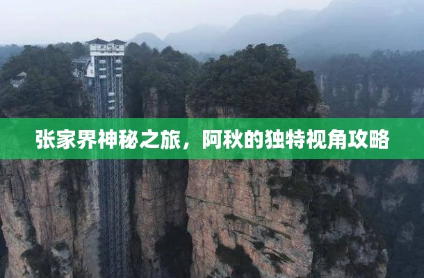 張家界神秘之旅，阿秋的獨(dú)特視角攻略