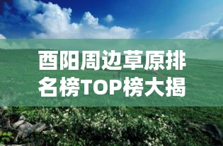 酉陽(yáng)周邊草原排名榜TOP榜大揭秘！最新排名榜單來(lái)襲！