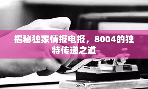 揭秘獨(dú)家情報(bào)電報(bào)，8004的獨(dú)特傳遞之道