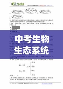 中考生物生態(tài)系統(tǒng)深度解析，專題解讀與知識(shí)要點(diǎn)梳理