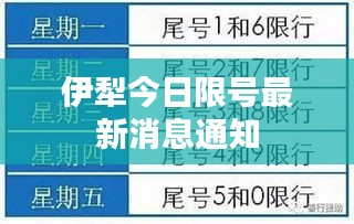 2025年1月22日 第2頁
