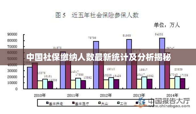 中國(guó)社保繳納人數(shù)最新統(tǒng)計(jì)及分析揭秘