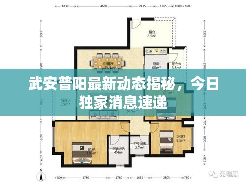 武安普陽最新動態(tài)揭秘，今日獨家消息速遞
