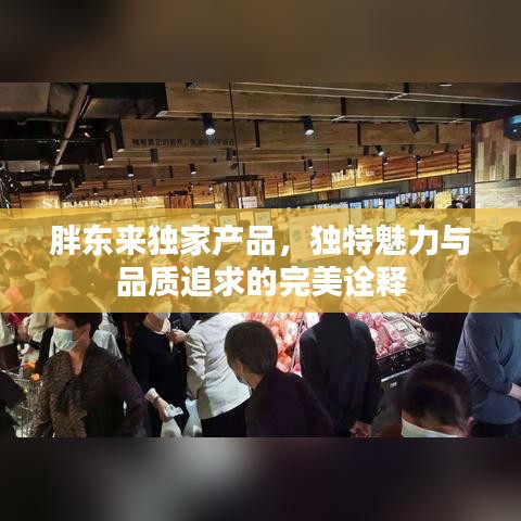 胖東來獨家產(chǎn)品，獨特魅力與品質(zhì)追求的完美詮釋