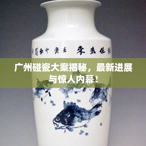 廣州碰瓷大案揭秘，最新進(jìn)展與驚人內(nèi)幕！
