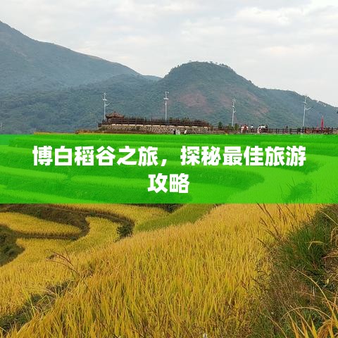 博白稻谷之旅，探秘最佳旅游攻略